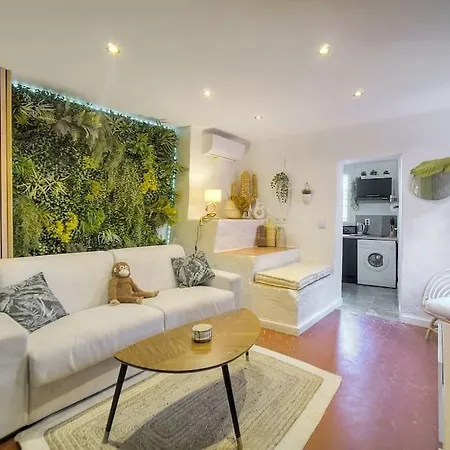 Monkey Forest Apartment